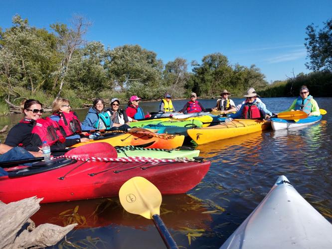 Marsh Paddle