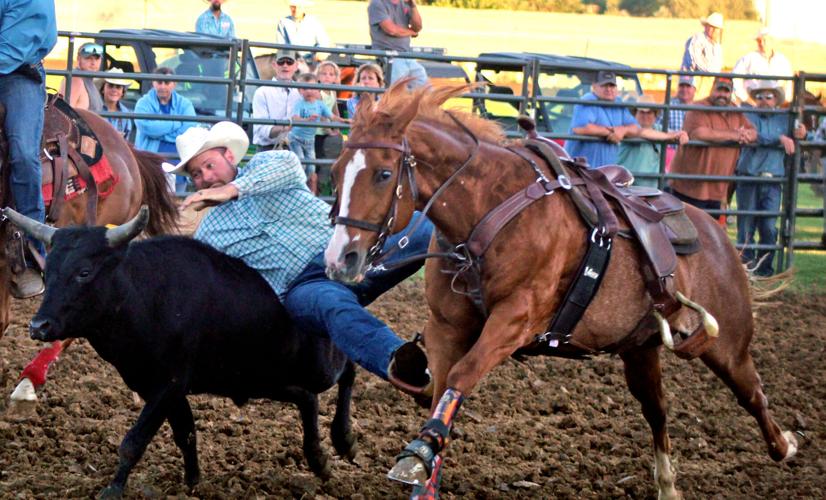 Rodeo