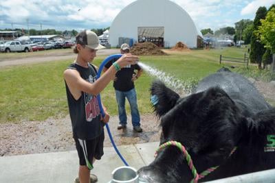Sauk County Fair