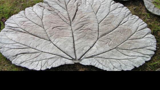 Make State Shape Art Concrete Leaf Castings At The Workshop