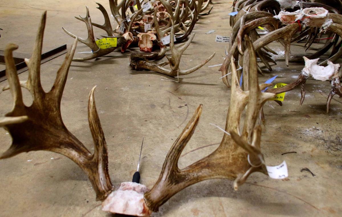 DAVIS COLUMN Deer Kill Dip May Be Just The Nature Of Deer Hunters davis-column-deer-kill-dip-may-be-just-the-nature-of-deer-hunters