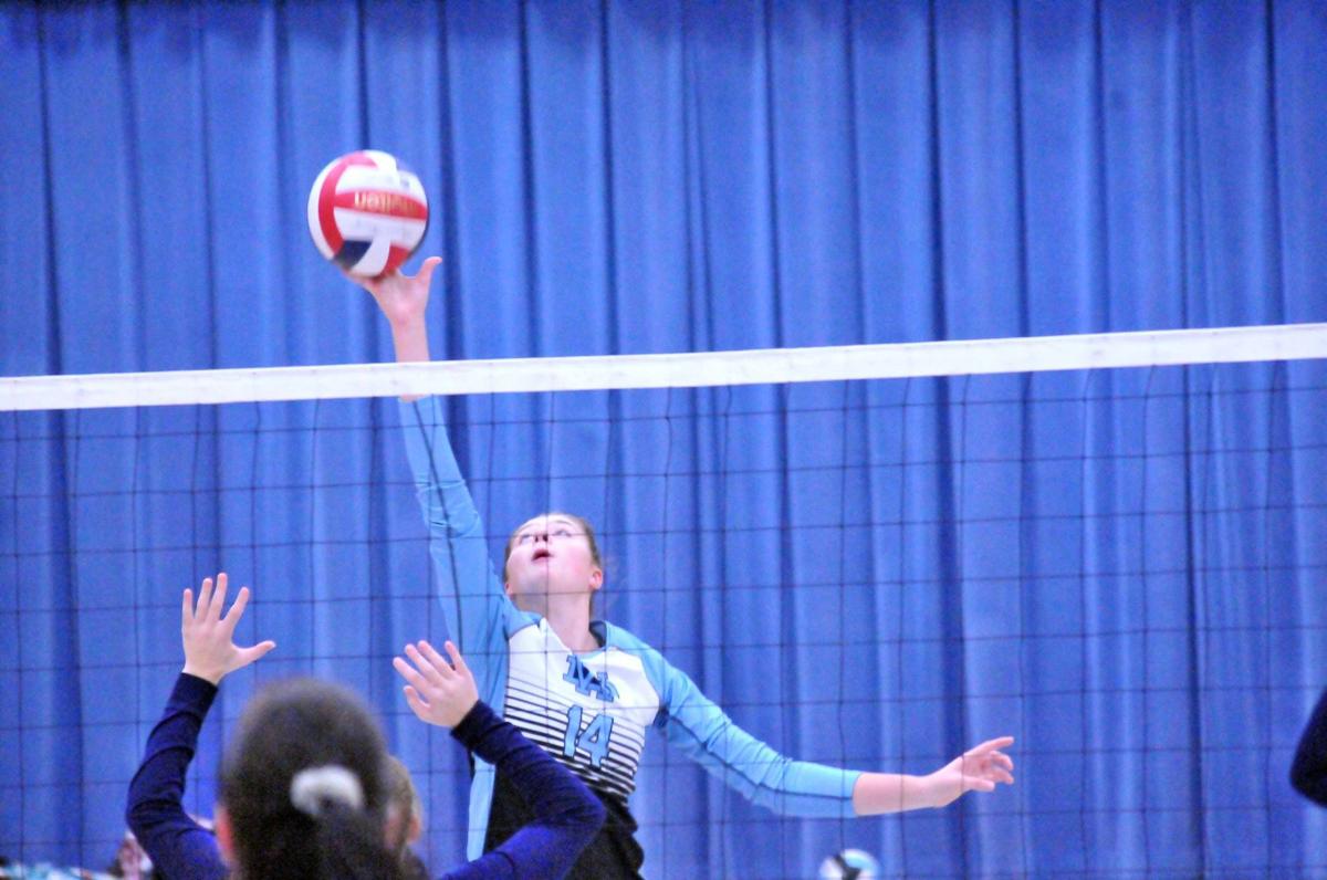 100117-dell-vball14