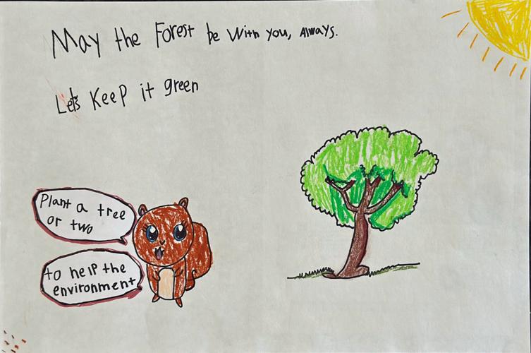 Youth Conservation Awareness Poster k-1