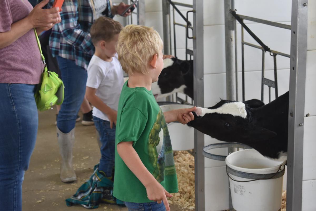 Sauk County Dairy Breakfast draws hundreds of hungry guests