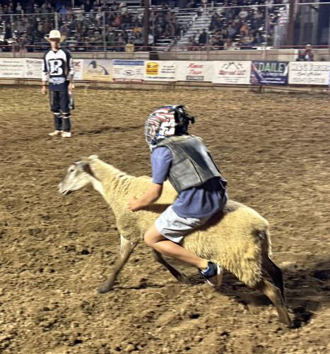 Mason Evans wins the Mutton Bustin’ competition at the Juneau County Fair Rodeo on Wednesday.