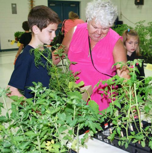 Neenah Creek Features Green House Annual Plant Sale Uploaded Photos Wiscnews Com