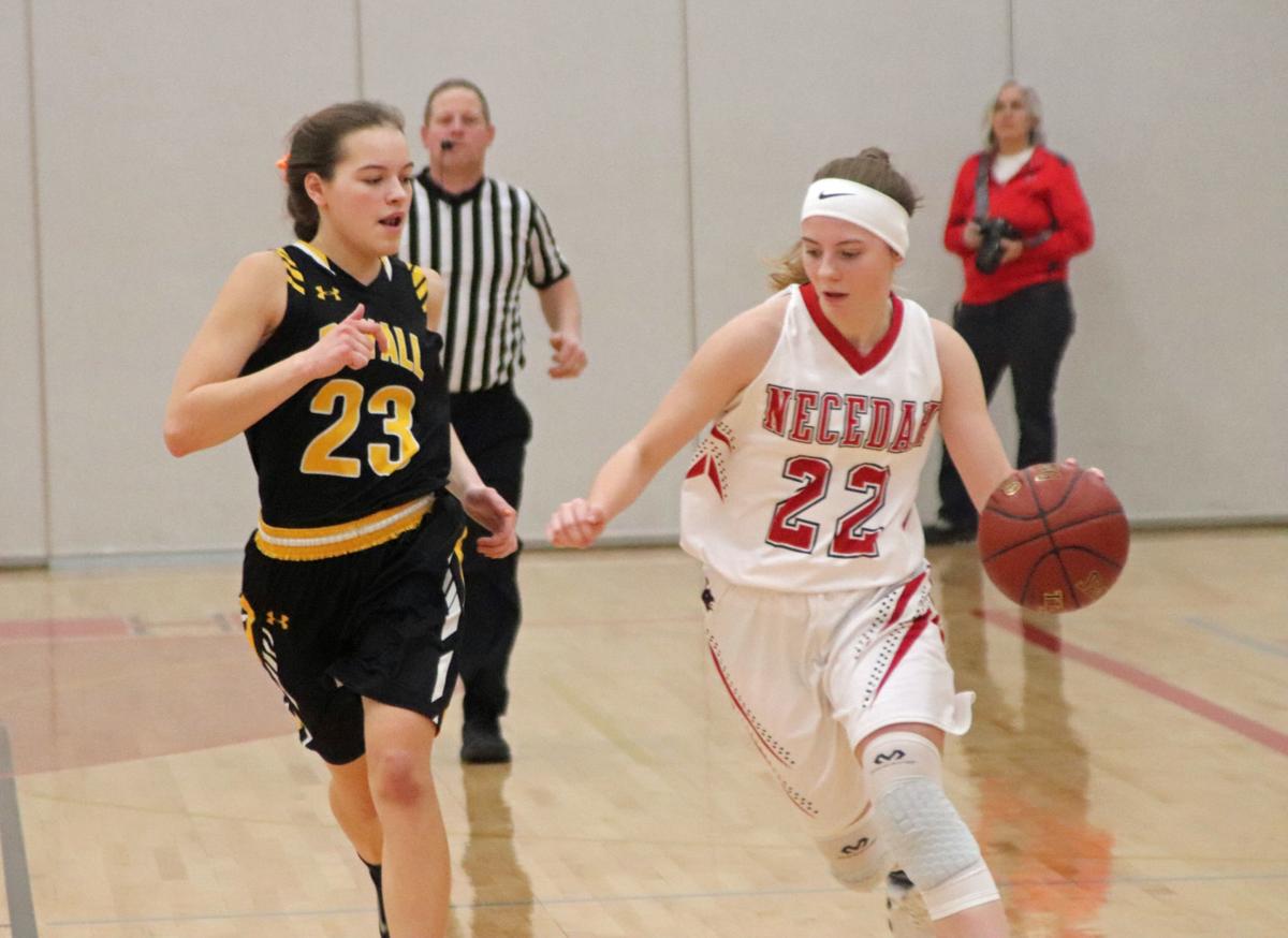 Prep Girls Basketball New Lisbon S Delgado Named To All Scenic