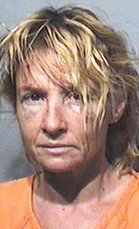 Couple arrested after air gun attack at Portage home | Regional news