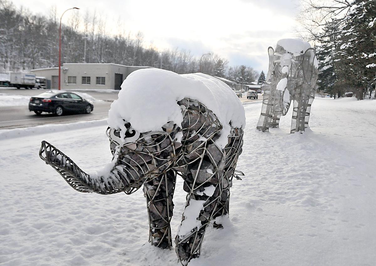 Elephant twins coming to Baraboo