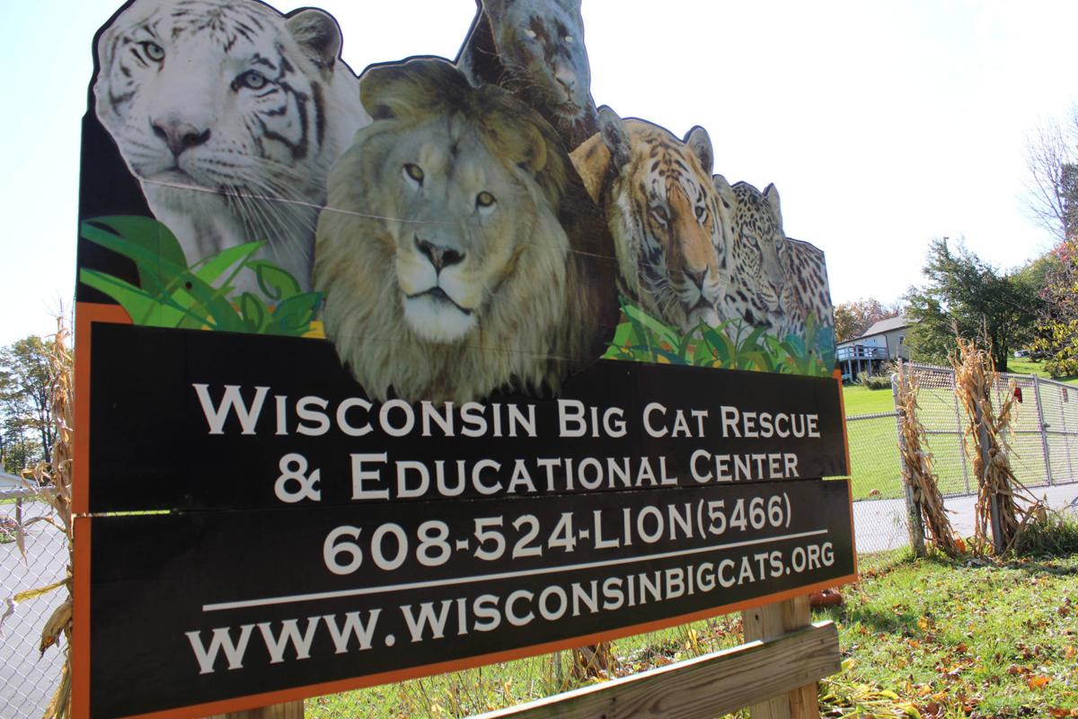 Big Cat Rescue expanding facility in Rock Springs Regional news