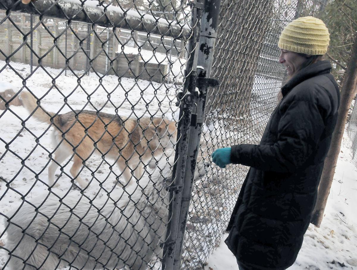 Wolves with Tori Spinoso (copy)