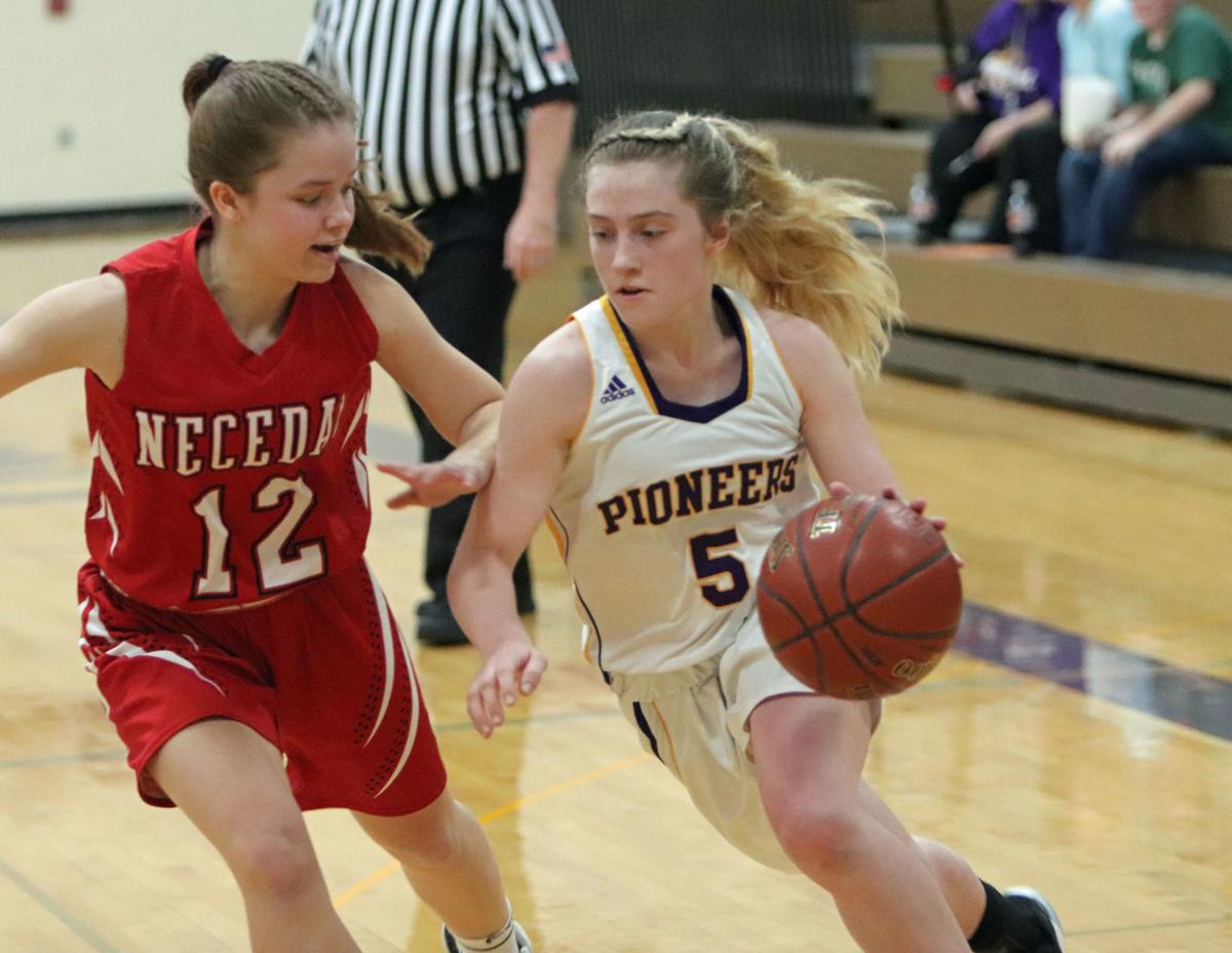 Prep Girls Basketball Westfield S Brakebush Named South Central