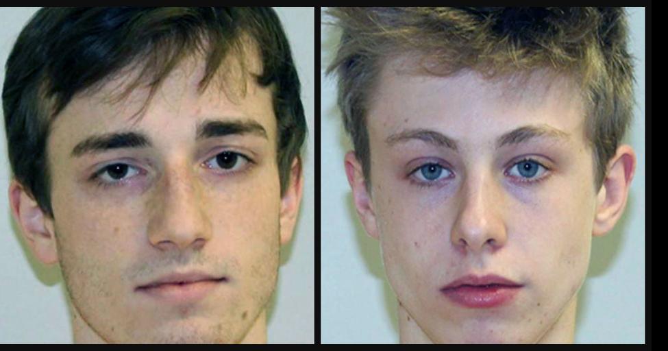 Two Reedsburg men, both 18, charged with sexual assault of girl, 15