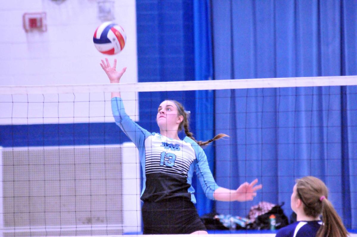 100117-dell-vball11