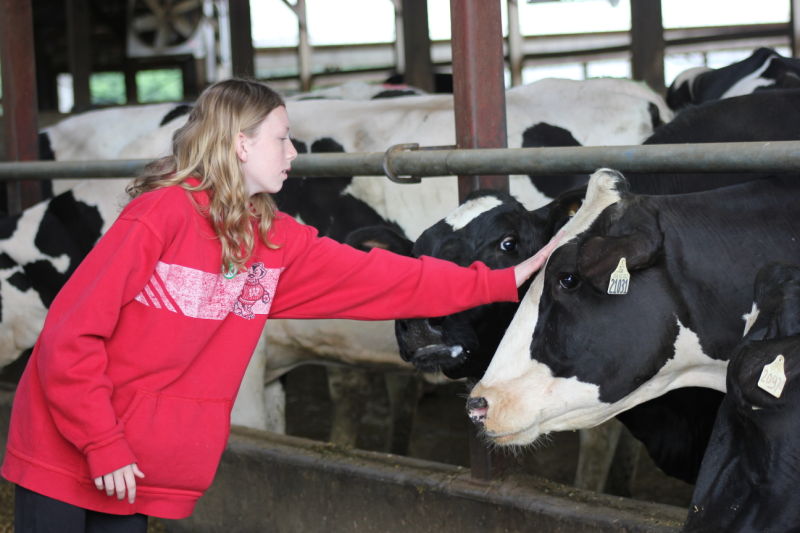 County dairy breakfast opens barn doors to many