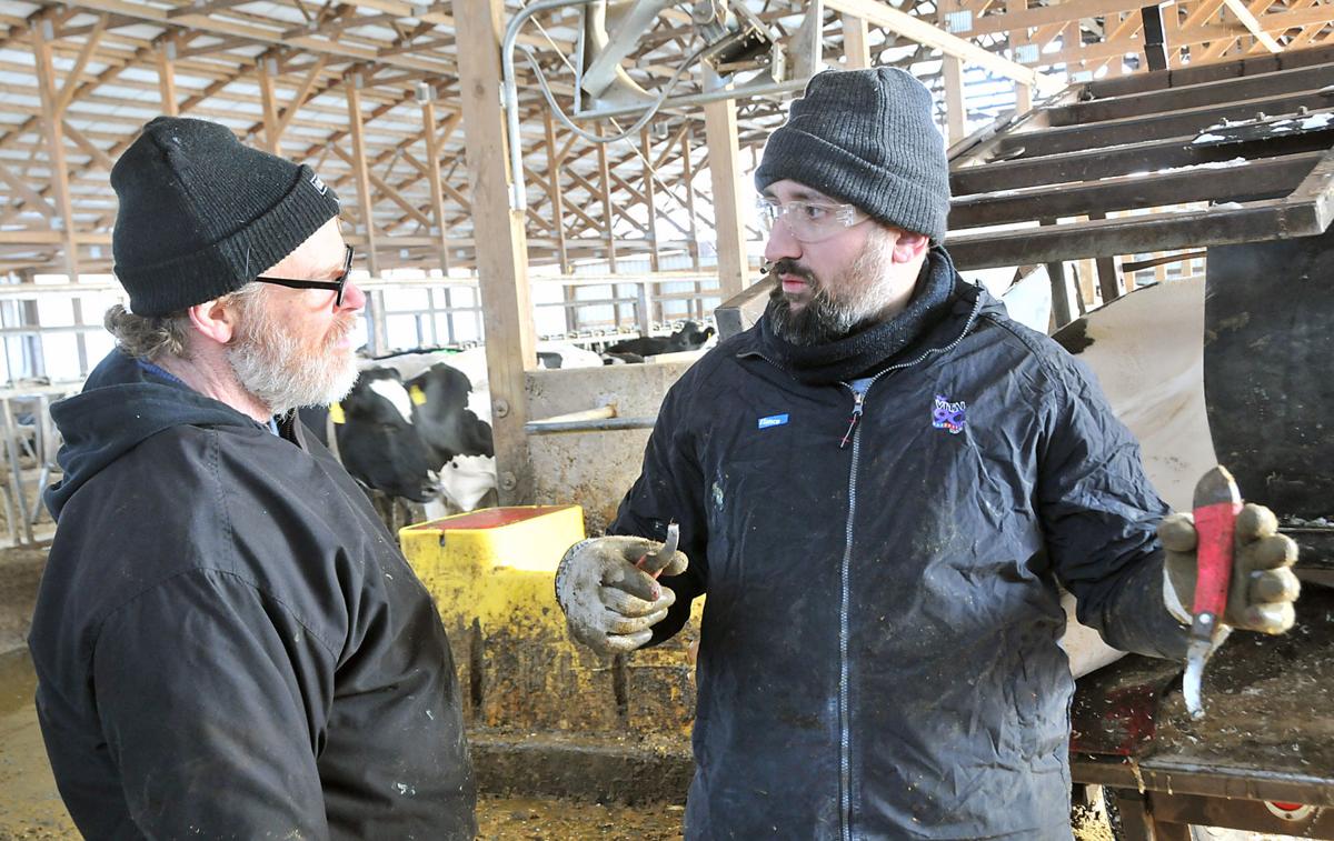 Italian Vet Works With Wisconsin Hoof Trimmers Regional News