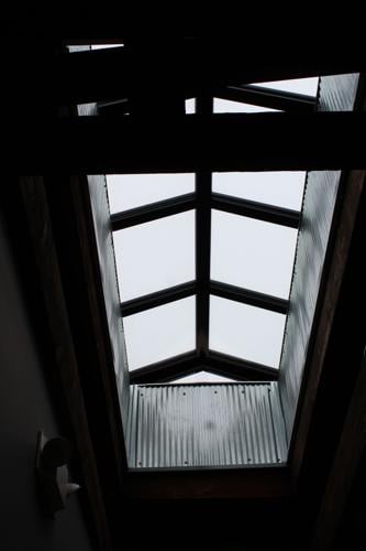 IMG_7090.JPG