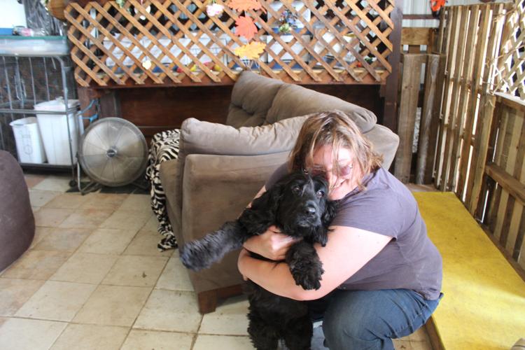 Family’s love of animals is the backbone behind doggy day care in Juneau