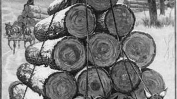 Wisconsin Forests Build Country As Lumber Floats Down Rivers Regional News Wiscnews Com