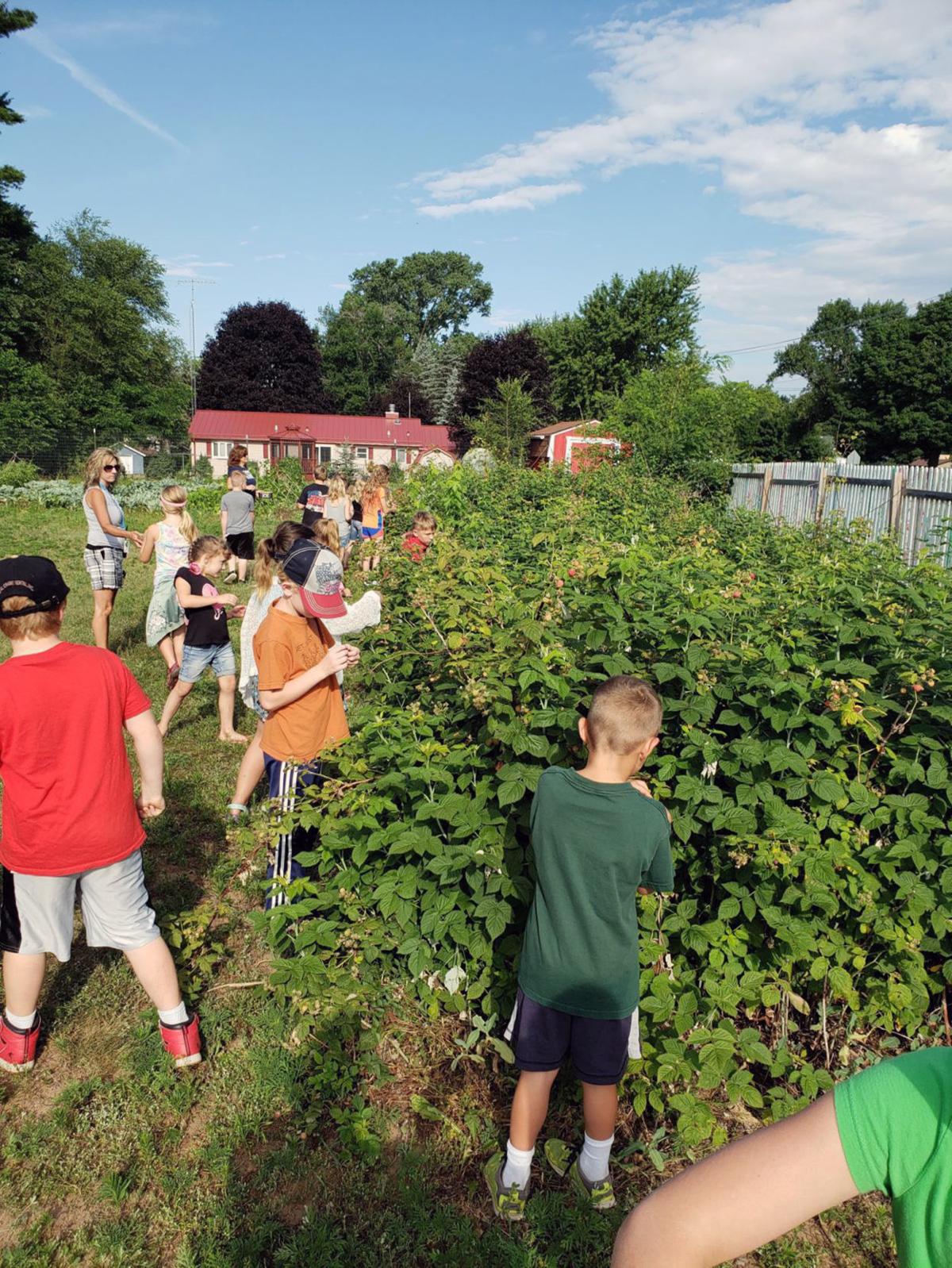New menu, school garden part of wellness push in Montello Education