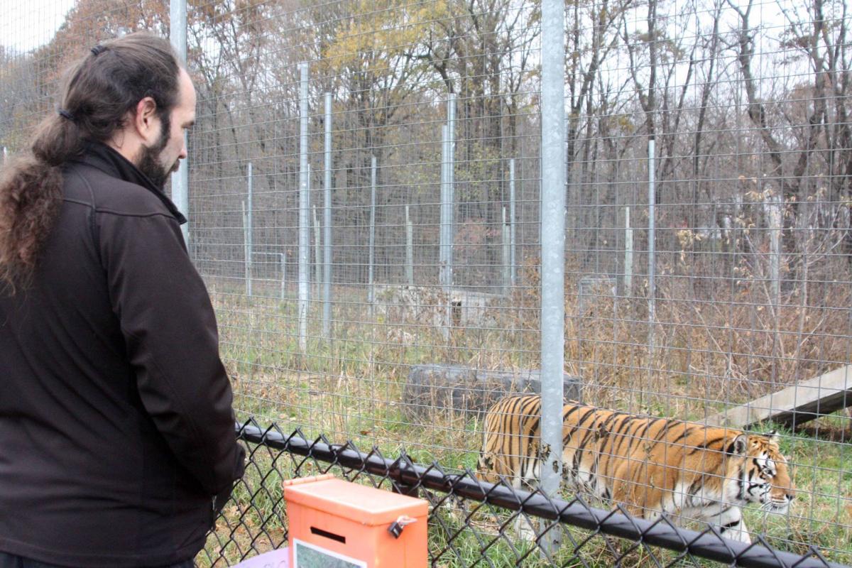 Big Cat Rescue Will Stay In Rock Springs Hosts First Booze Walk