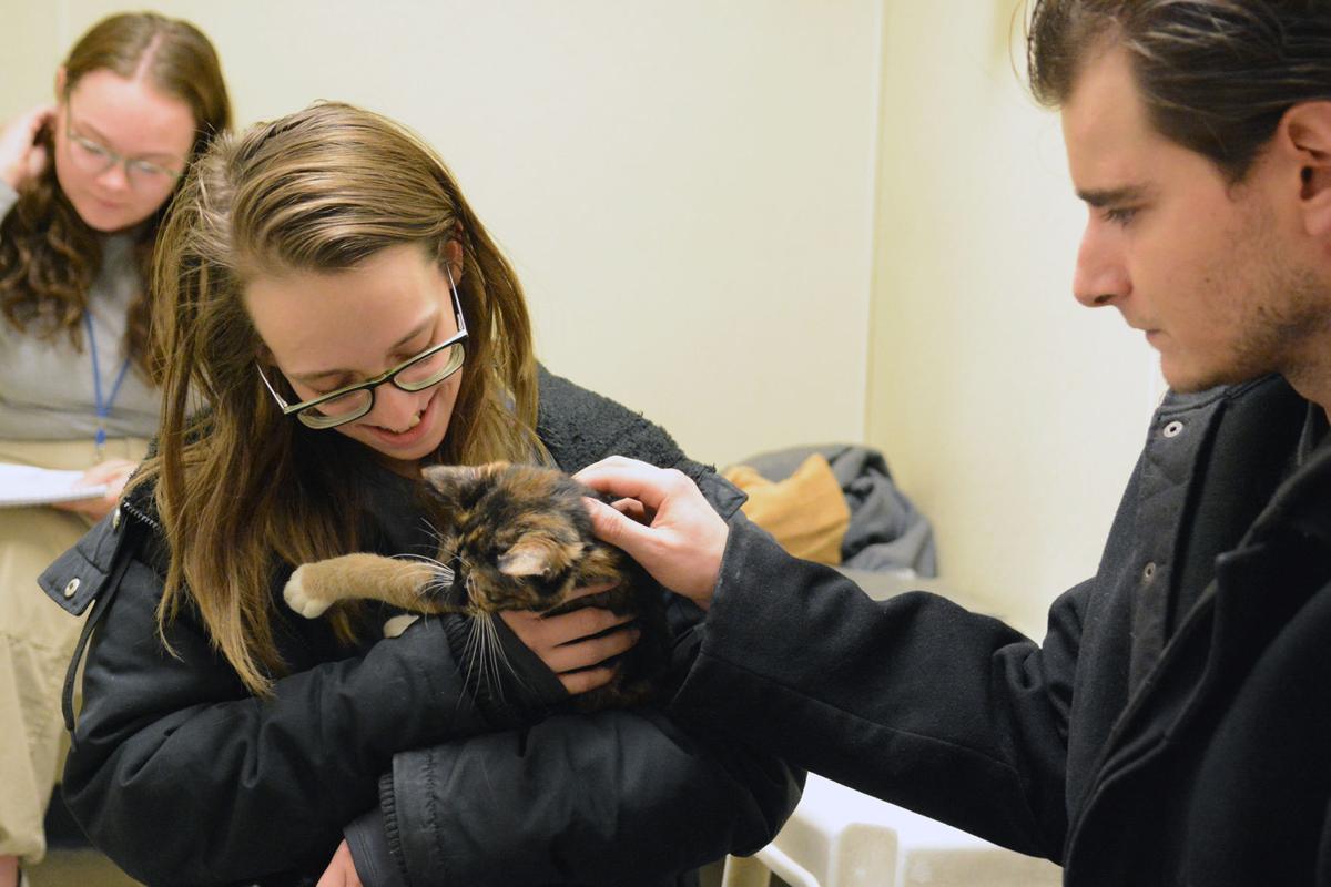 Humane Society Staff Urge Pets To Be Spayed And Neutered Before