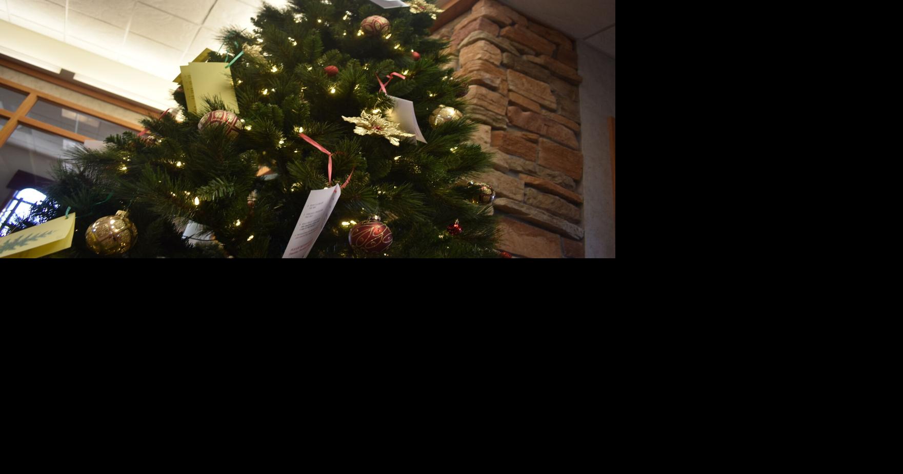 Portage Caring Tree program takes a community to be successful