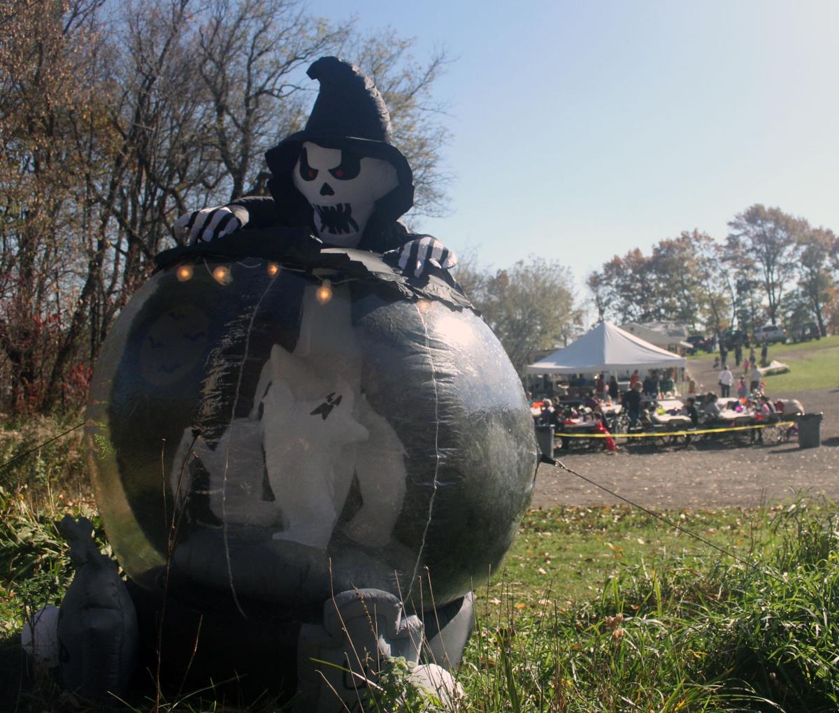 gallery trick or treating at wisconsin big cat rescue galleries