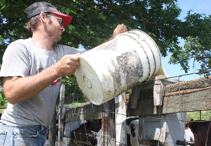 Local farm to host Sauk County Dairy Breakfast