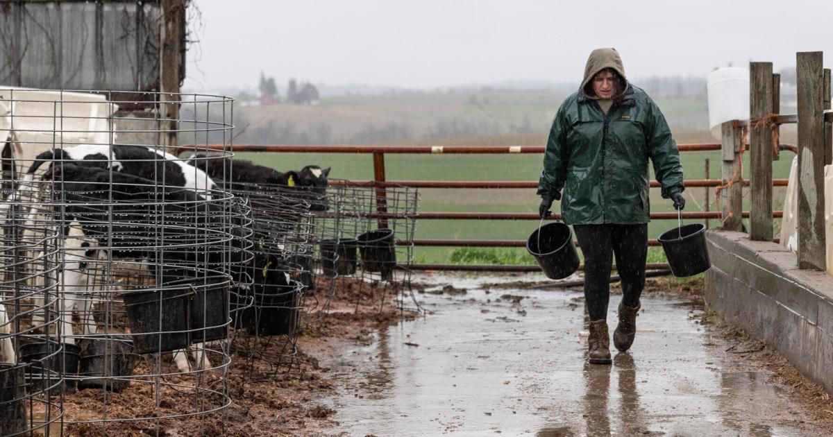 IN Wisconsin's young dairy farmers persevere
