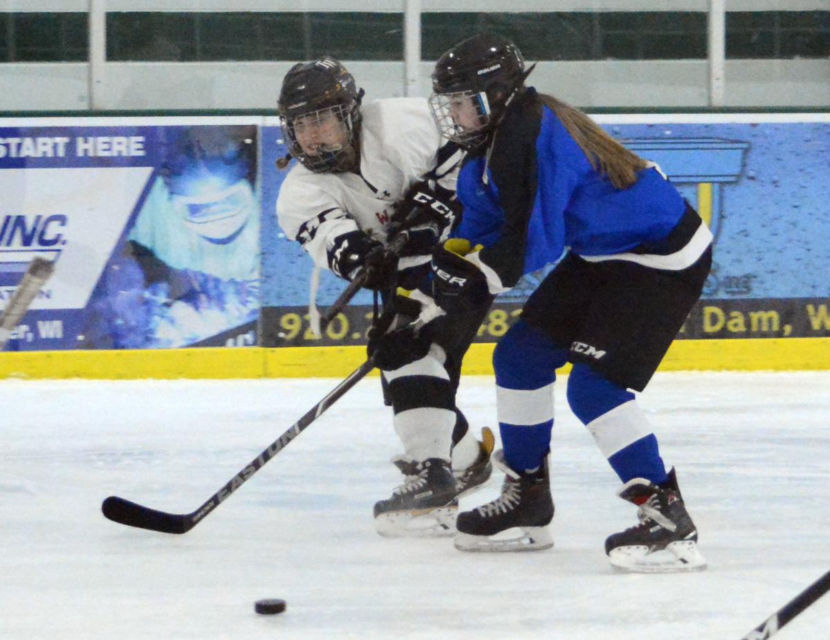 Girls Hockey Fondy Beaver Dam Gets Over Slow Start To Beat Lakeshore 7 2 Hockey Wiscnews Com