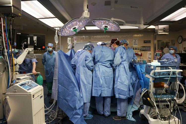 Pig kidney transplanted into patient for first time