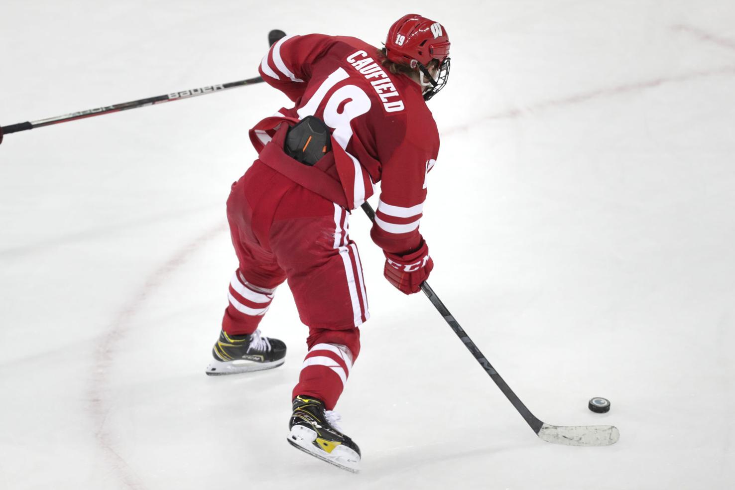 5 things to know about Wisconsin men's hockey games against Clarkson