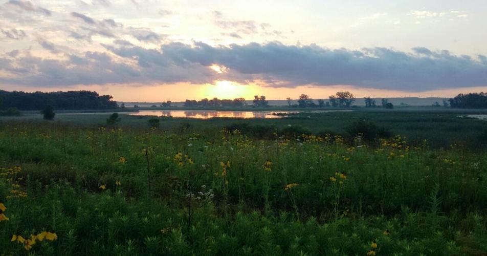 Horicon Marsh