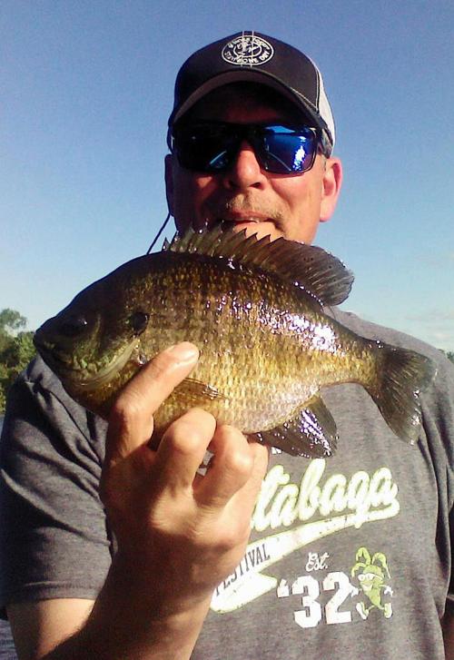 Big Bluegill