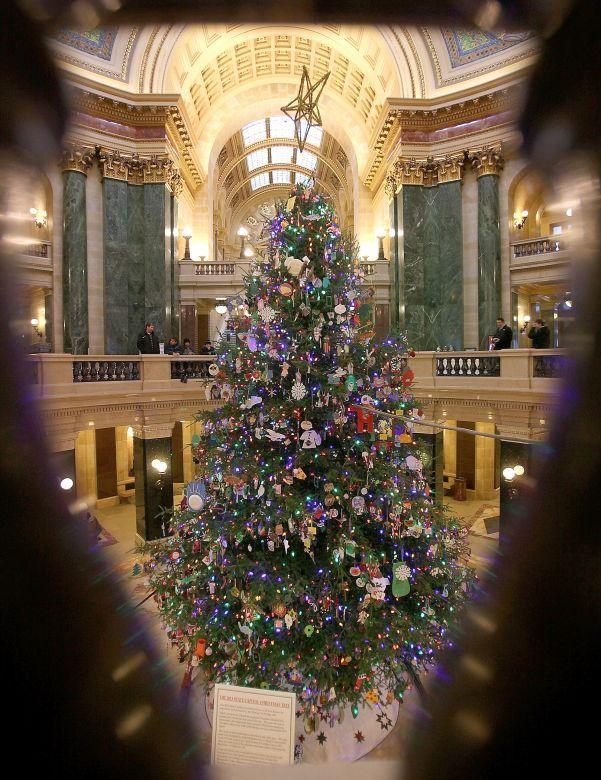 2022 Capitol Christmas Tree Bill would protect live Christmas trees Regional news