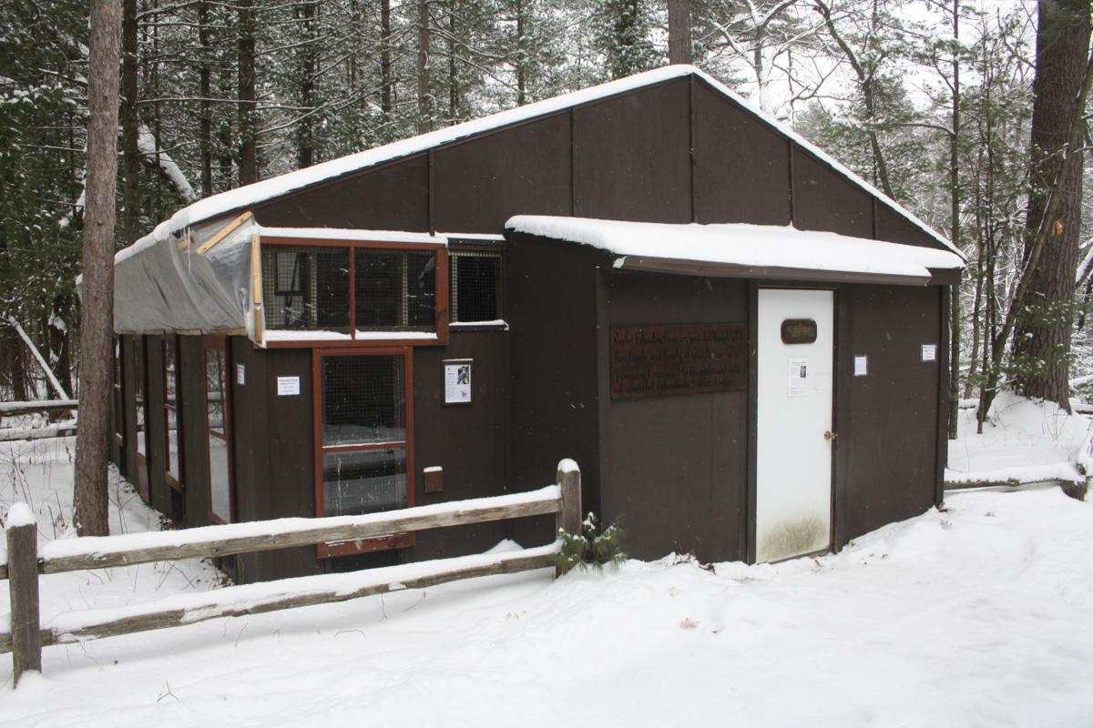 Upham Woods Offers Winter Summer Programs Regional News