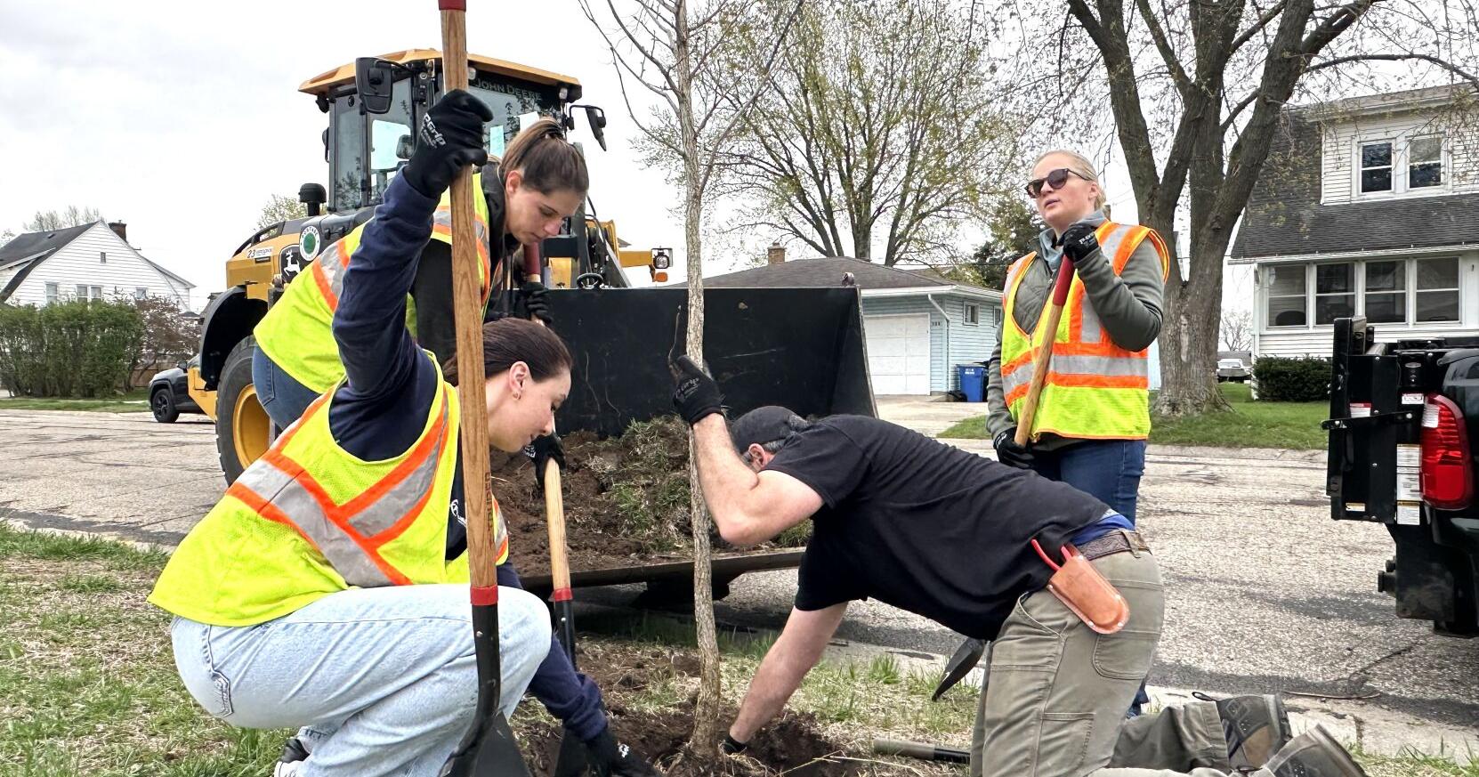 Portage plants 40 trees along Conant Street for Arbor Day - Vimarsana News