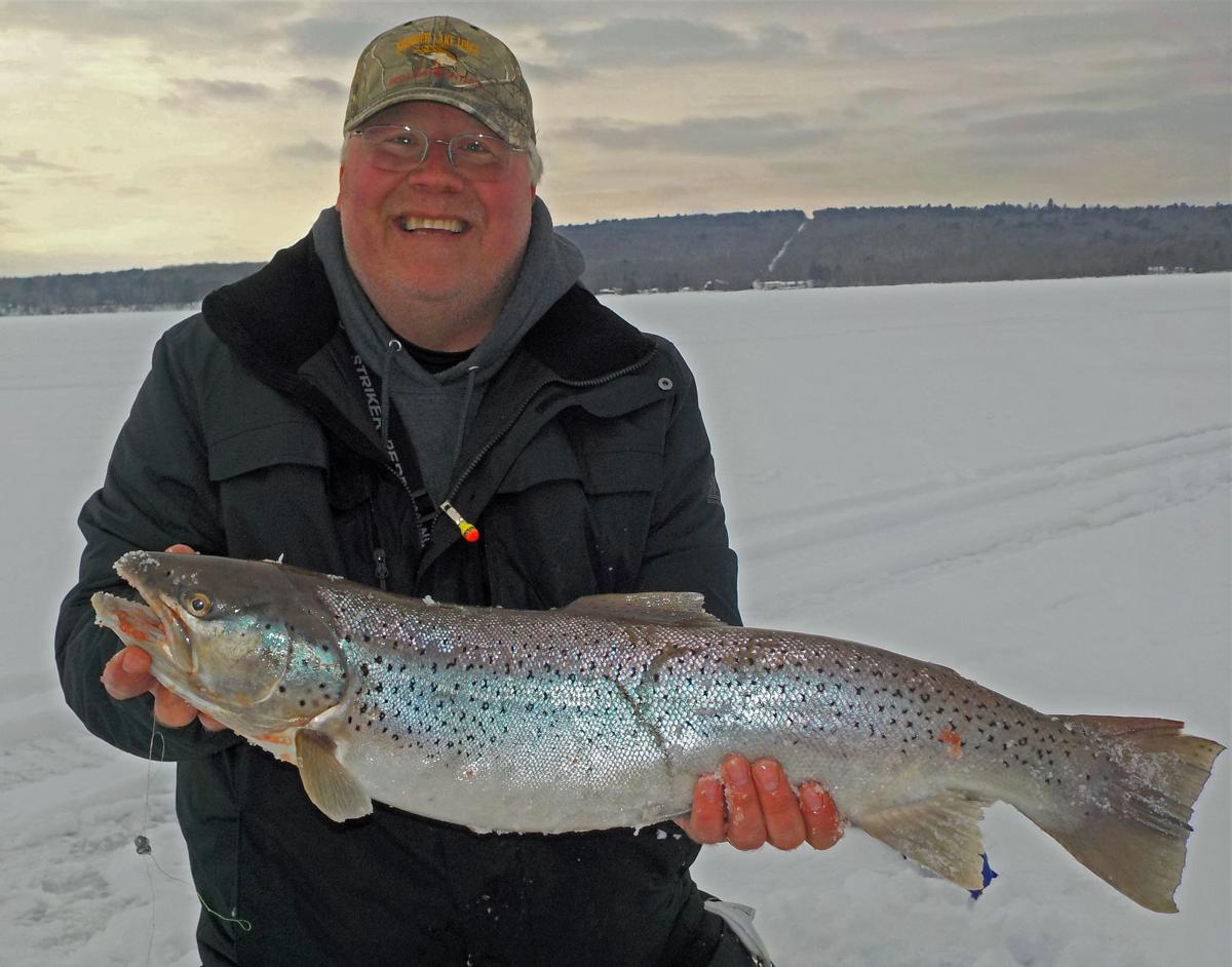 Miotke trout