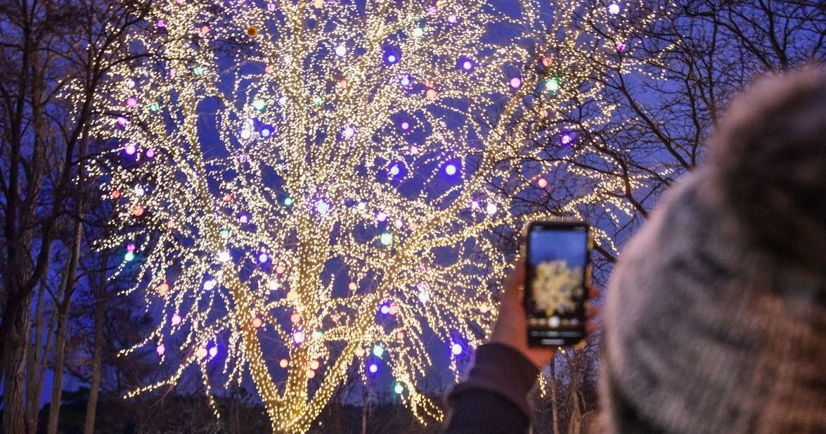 Downtown Dells Ready For The Holidays With Return Of Tree Of Light Christmas Activities Regional News Wiscnews Com Downtown Dells Ready For The Holidays With Return Of Tree Of Light Christmas Activities Regional News Wiscnews Com