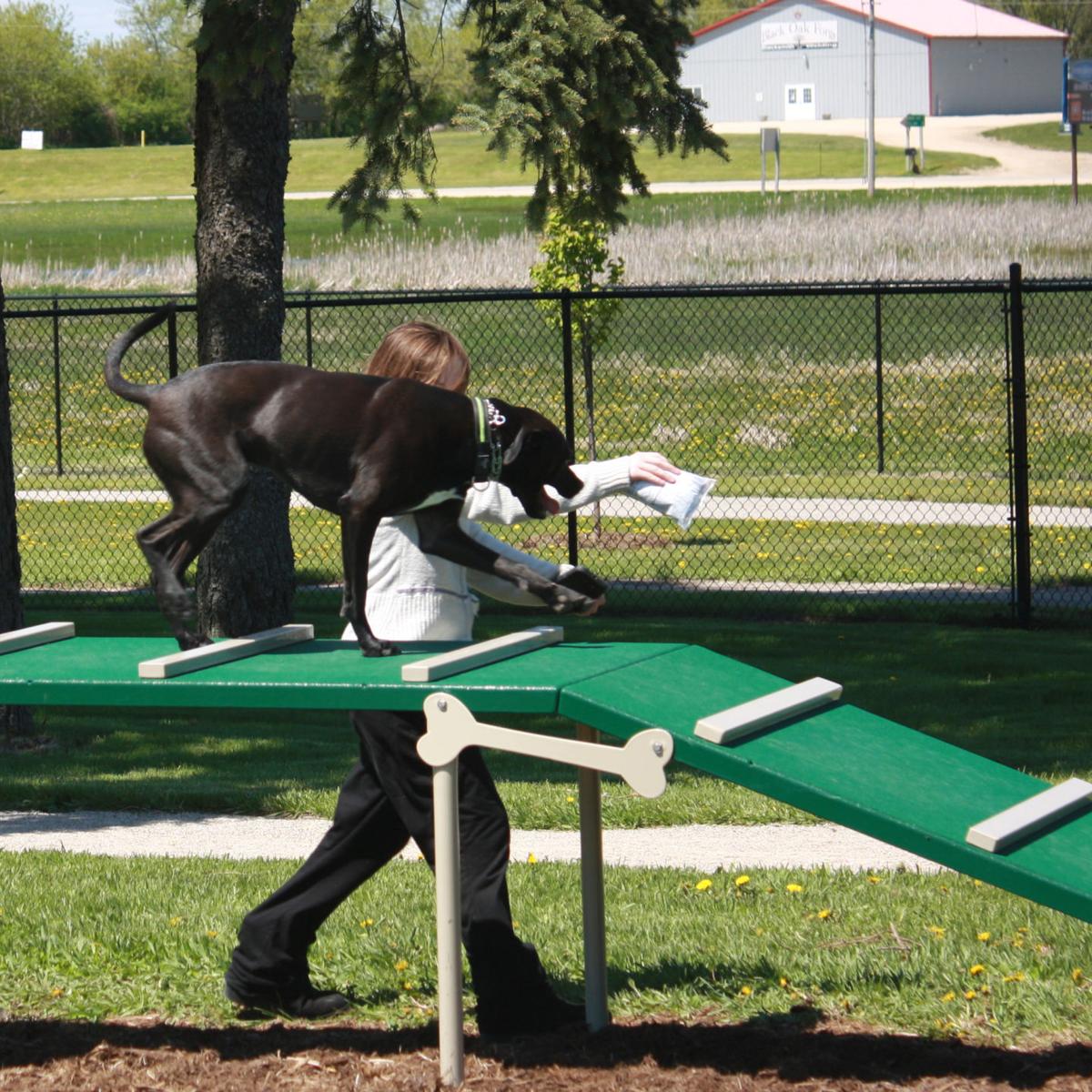DODGE COUNTY HUMANE SOCIETY UNLEASHES DOG PARK Galleries