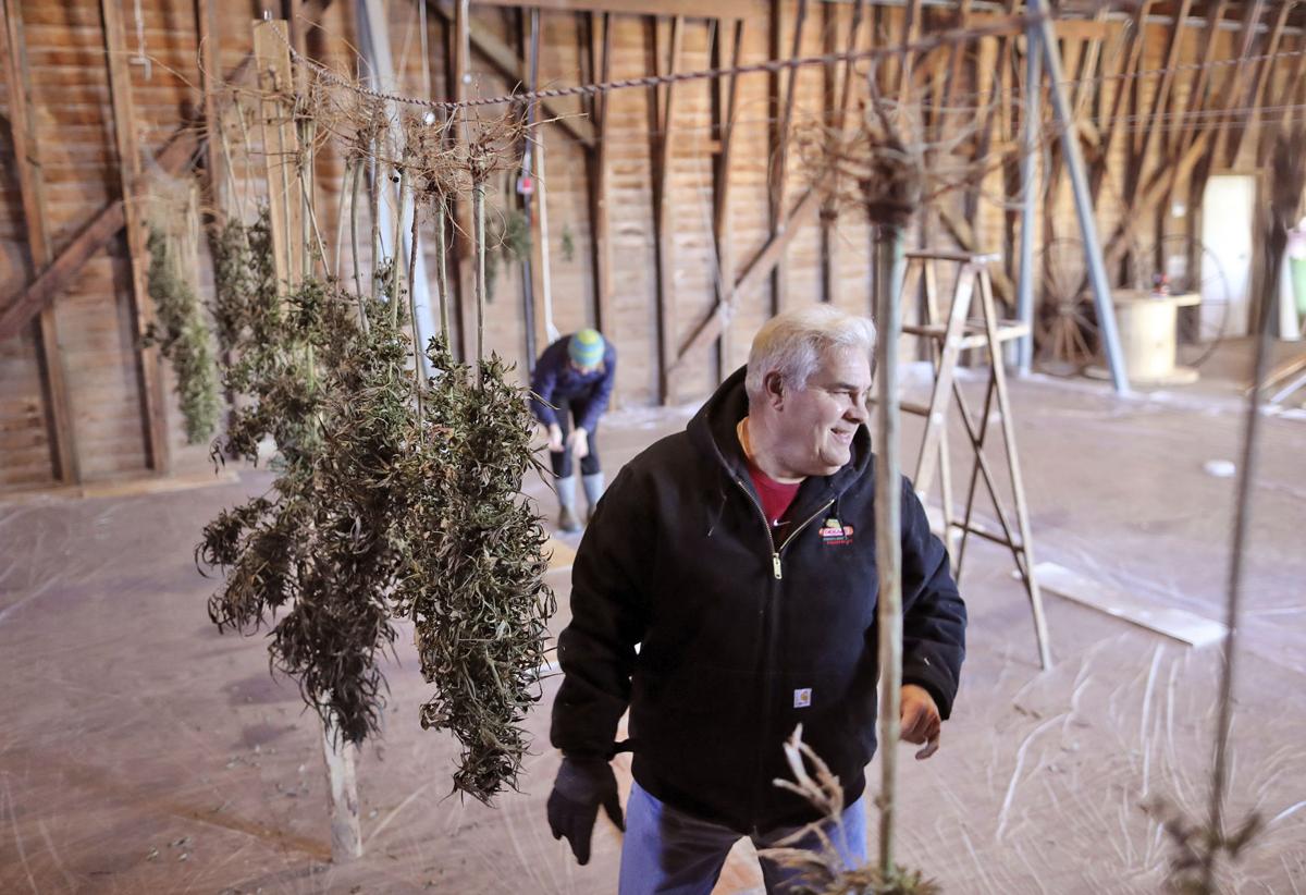 State Opens Industrial Hemp Licenses Registration For 2019