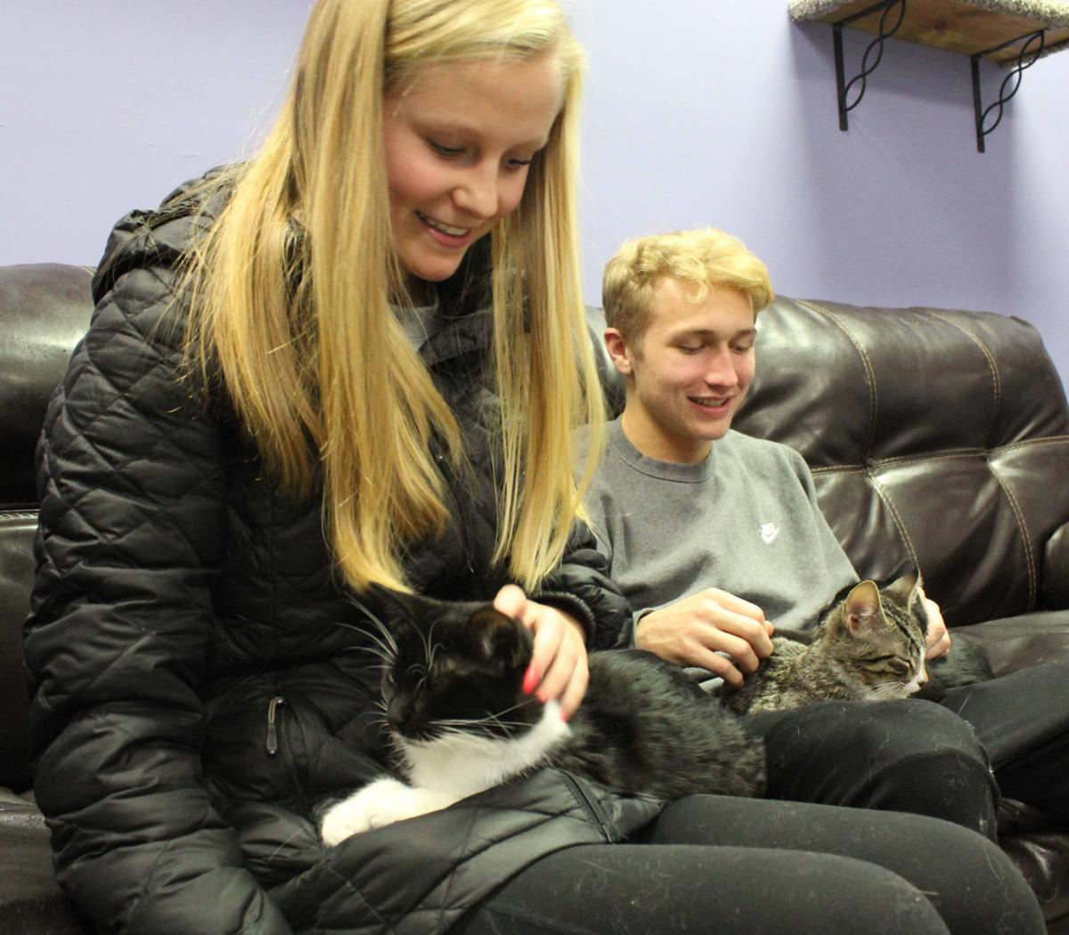 Sauk City Pet Store Opens Whisker Lounge For Rescue Cats