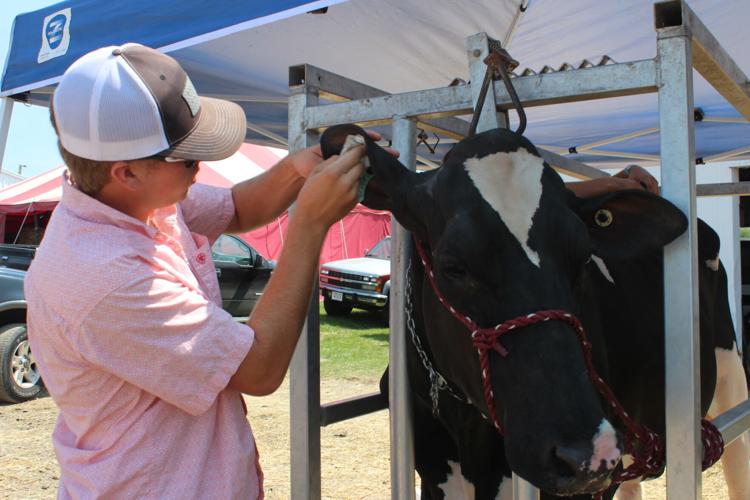 Dodge County Fair