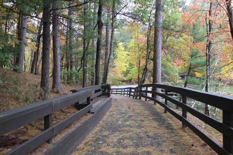 Colored leaves at Lakeview Trail in 2019