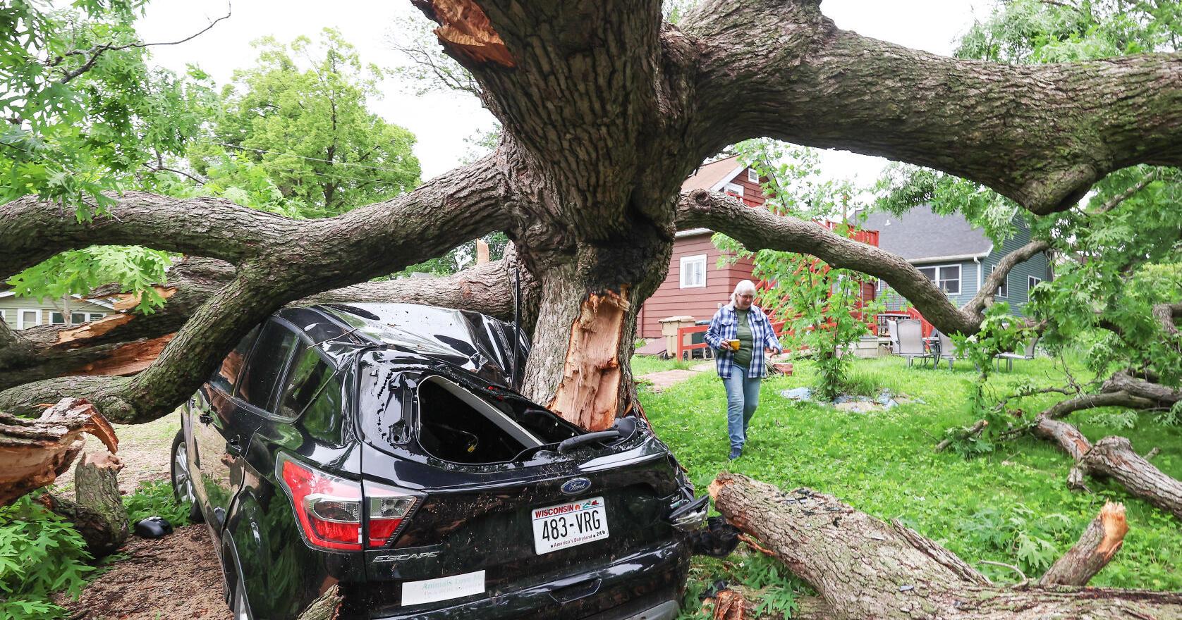South-central WI sustains minor damage from Tuesday storms - Vimarsana News