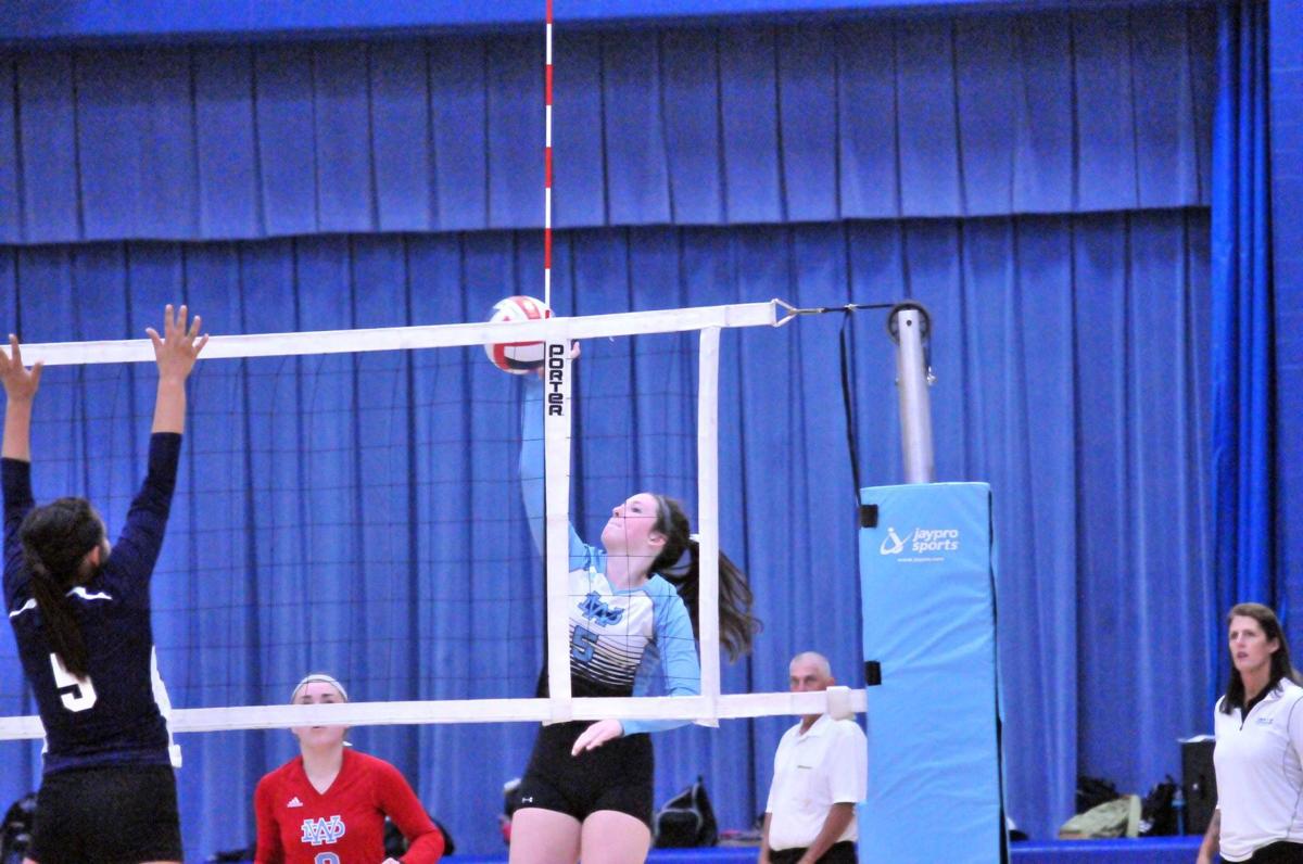100117-dell-vball4
