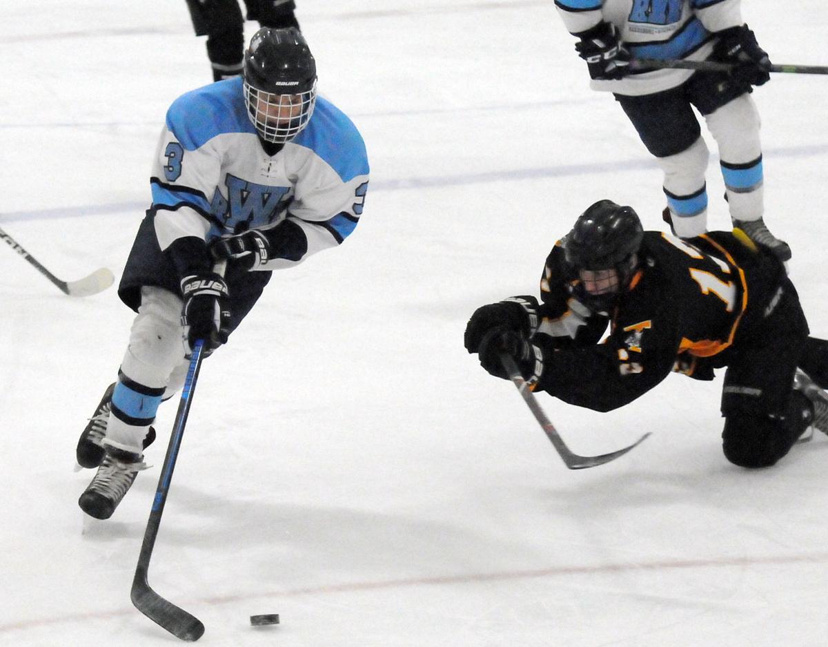 PREP BOYS HOCKEY Reedsburg/Wisconsin Dells delivers last blow in wins