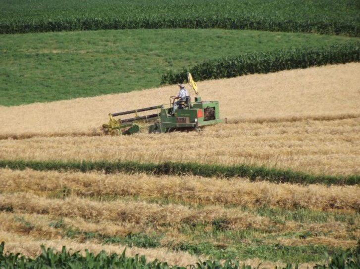 US Cash Grains-Most corn bids flat to weaker; harvest continues