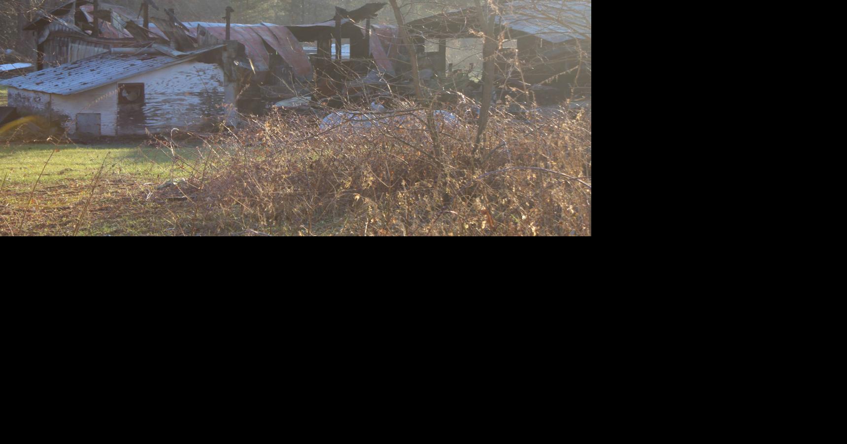 Reedsburg storage shed destroyed in fire